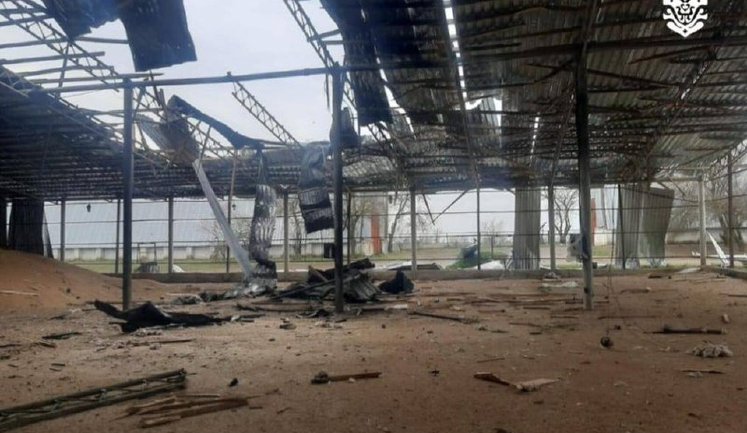 Росіяни атакували дронами фермерське господарство та ангари з зерном на Одещині. ФОТОрепортаж
