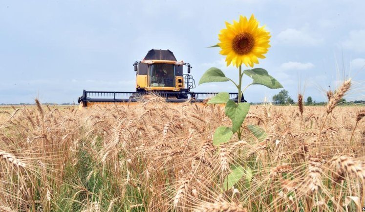 Агросектор України перейде на стандарти ЄС до 2028 року: що зміниться для виробників?