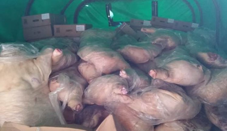 СБУ: Командир батальона ВСУ пытался провезти 10 тонн мяса для боевиков "ЛНР". ФОТО