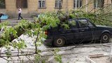 В Крыму под окнами СБУ дерево раздавило машину. ФОТОрепортаж