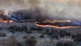 Fire continues in Chornobyl zone, Zhytomyr region; almost 2,000 work to extinguish it