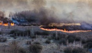 Продолжается ликвидация пожаров на двух участках в Чернобыльской зоне, в Житомирской области открытого огня нет, - ГСЧС