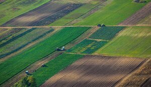 Аграрії просять президента не ігнорувати позицію малого та середнього бізнесу у питаннях земельної реформи