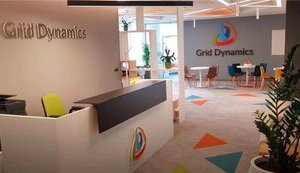dynamics,grid