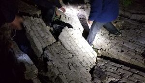 На Киевщине погиб 13-летний мальчик, - Нацполиция