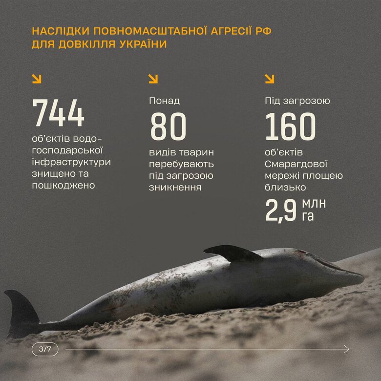 As result of full-scale invasion of Russian Federation, almost third of area of Ukraine was contaminated with explosive objects 03