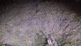 Обстріли Чайківки 22 вересня