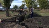 ровы