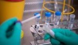Сім областей не надали інформацію щодо тестування українців на коронавірус за минулу добу, - глава МОЗ Степанов