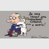 Из жизни собак