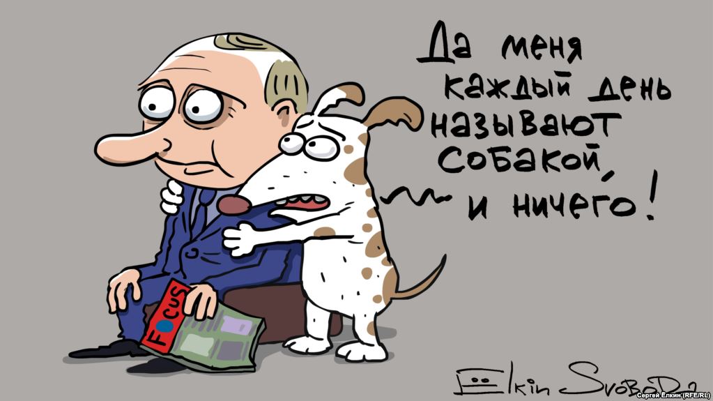 Из жизни собак
