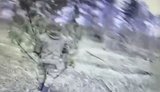 Россиянин тщетно прячется от украинского дрона за сосновой веткой, которую нес в руках