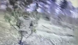 росіянин ховається під ялинкою