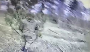 Россиянин тщетно прячется от украинского дрона за сосновой веткой, которую нес в руках