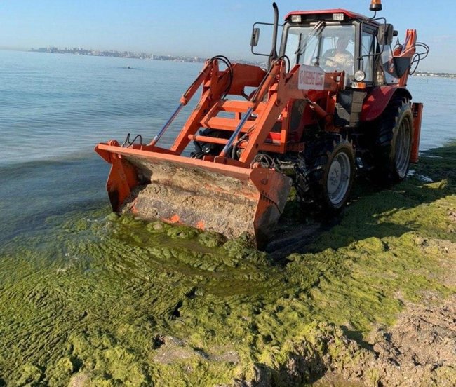 Коммунальщики в Одессе убрали с пляжа 30 куб. метров водорослей 01