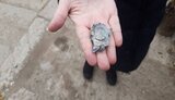 харківщина