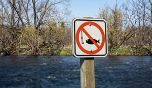 Щорічна нерестова заборона: на яких водоймищах вводять обмеження на вилов риби?