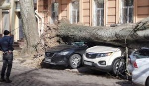 Наслідки шторму в Одесі: повалено сотні дерев, загинула жінка, багато пошкоджених машин і будинків. ВІДЕО+ФОТО