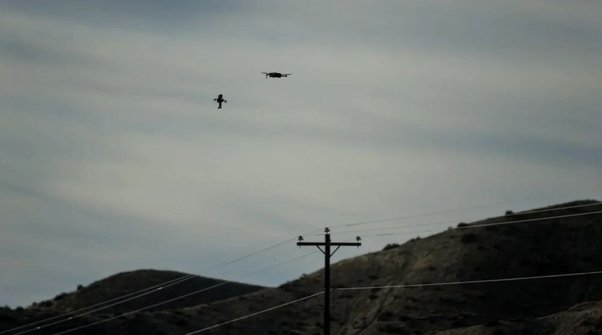 Цензор.НЕТ Зображення