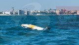 Объект, похожий на морской дрон, обнаружили в Румынии. ФОТО