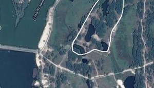 Сестре Довгого принадлежит ряд элитных земучастков на Киевщине, - "Наші гроші". ДОКУМЕНТ
