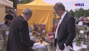 Украинскую делегацию пчеловодов на празднике меда в Польше возглавил Ющенко. ФОТО