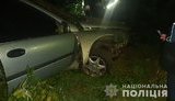 17-річна дівчина загинула внаслідок ДТП з п
