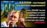 Украинский националист
