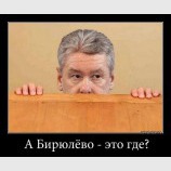 А Бирюлево - это где?