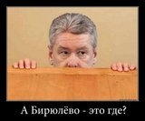 А Бирюлево - это где?