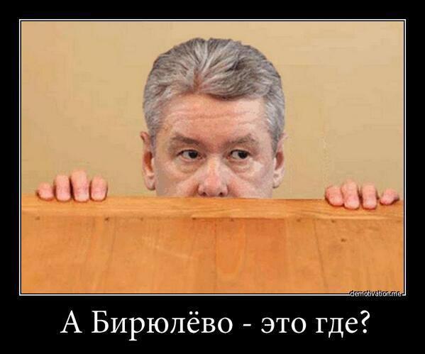 А Бирюлево - это где?