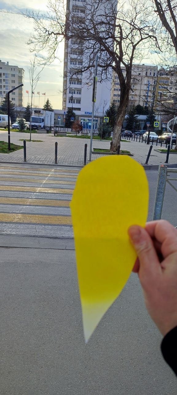 Occupation began with Crimea, de-occupation will begin with Crimea: Activists of Yellow Ribbon held action on peninsula 04