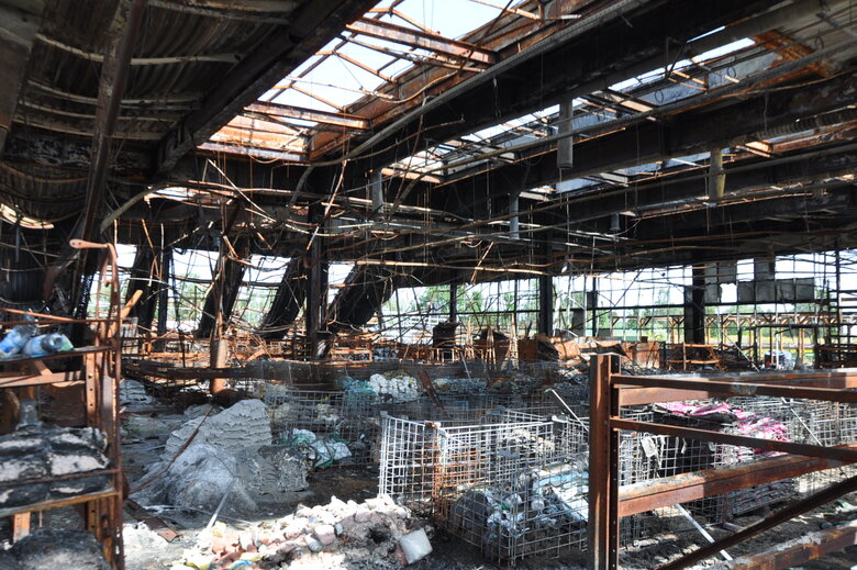 У Чернігові екологи зафіксували злочини РФ для позову у міжнародний суд 35