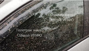 дощ