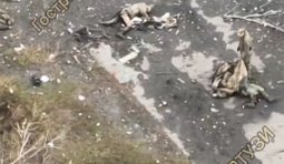 Оператори дронів загону Омега показали, як окупант риється по тілах мертвих побратимів загарбників