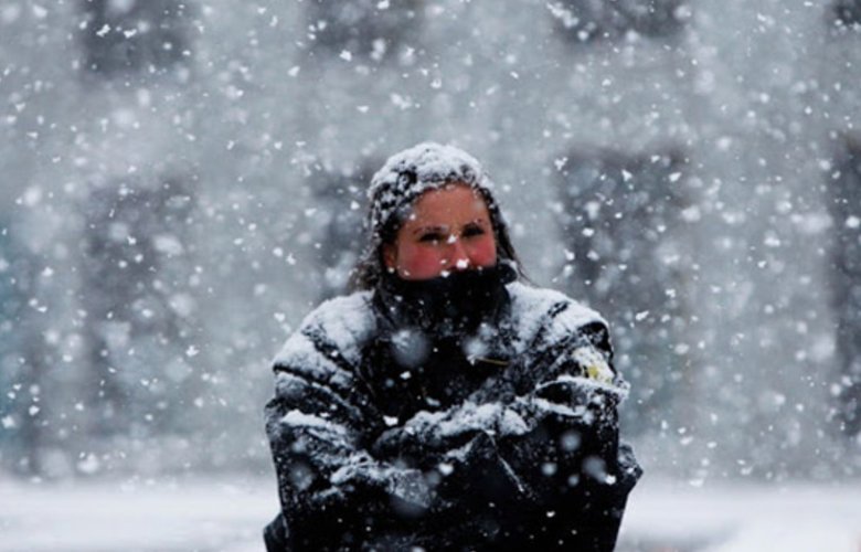 заметіль,мороз,непогода,сніг,холод