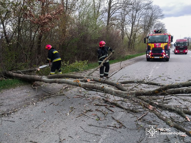 В Украине из-за непогоды погибли два человека, еще двое получили травмы