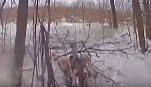 Дронарі "Сталевого кордону" знищили 4 автівки, міномет та склад БК на Курському напрямку. ВIДЕО