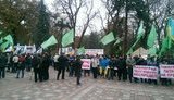 митинг &quot;укропа&quot;