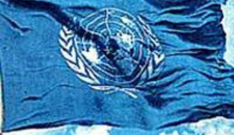 Ukraine elected UN SC non-permanent member