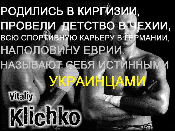беркут соцсети