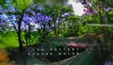 Дронарі "Гатила" 3-ї Залізної бригади FPV-дроном уразили 42-тонну російську САУ "Мста-С", яку окупанти заховали у хащах. ВIДЕО