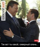 Так вот ты какой...
