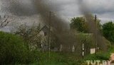 Невиданное нашествие комаров в Беларуси. ФОТОрепортаж