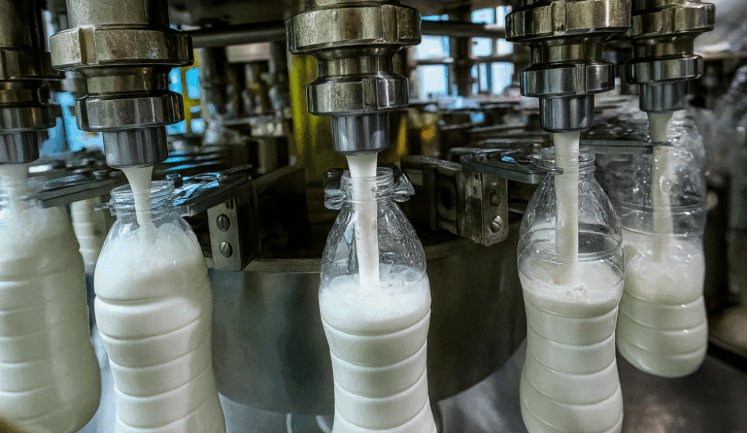 Криза світового молочного ринку: надлишок продукції спричинив помітне падіння цін