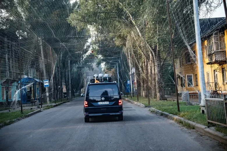 волонтерки,німеччини