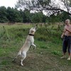 Николай Бобров #295643