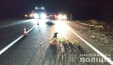 Рейсовий автобус на трасі Одеса-Рені на смерть збив пішохода, який переходив дорогу в недозволеному місці, - Нацполіція. ФОТО