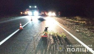 Рейсовий автобус на трасі Одеса-Рені на смерть збив пішохода, який переходив дорогу в недозволеному місці, - Нацполіція. ФОТО