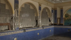 Воріт і левів немає, від сходів залишився скелет: будинок втікача Пшонки ще більше занепав. ВIДЕО
